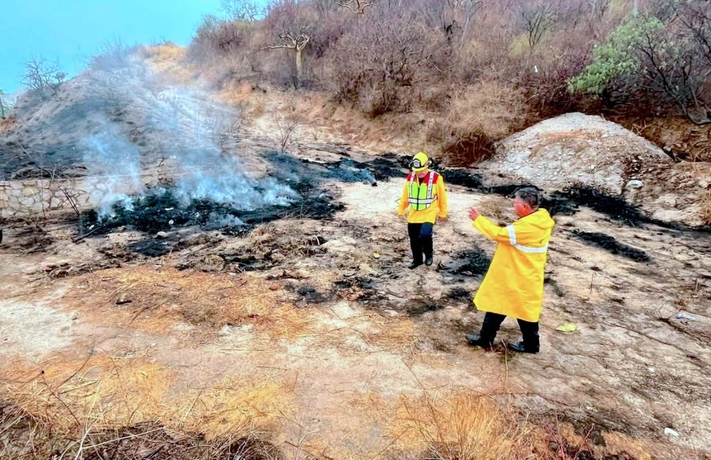Bomberos de San José del Cabo atienden incendio forestal y realizan labores preventivas en la carretera Transpeninsular