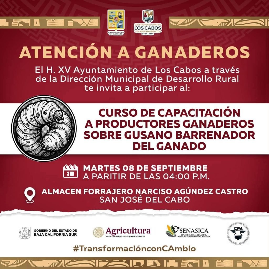 Capacitarán a productores de Los Cabos para prevenir el gusano barrenador del ganado