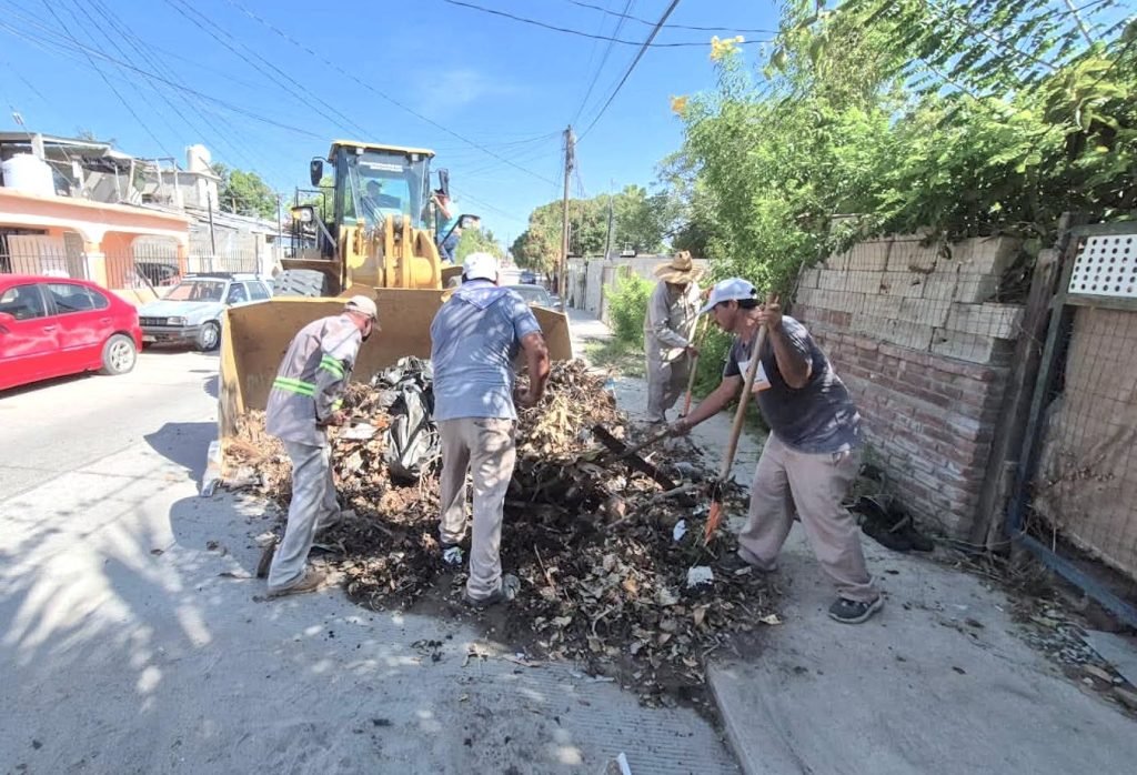 Continúa Gobierno de Los Cabos con el programa permanente de retiro de ramas y cacharros