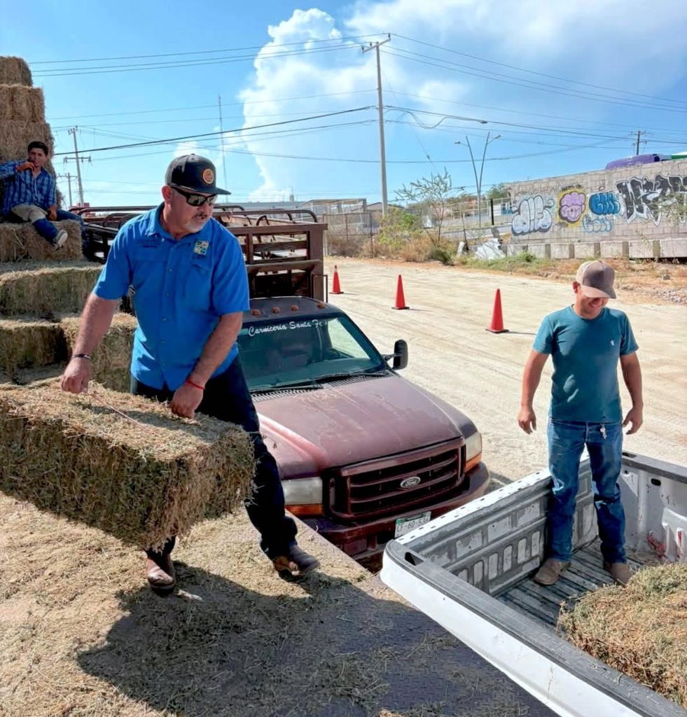 Entrega Ayuntamiento de Los Cabos alfalfa en apoyo a productores ganaderos de Cabo San Lucas