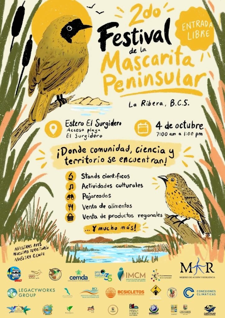 Los Cabos se prepara para el Segundo Festival de la Mascarita Peninsular