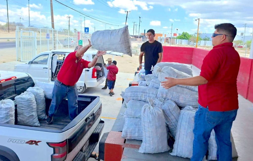 Recolecta Ayuntamiento de Los Cabos 256 kilos de tapitas para apoyar a niñas, niños y adolescentes con cáncer