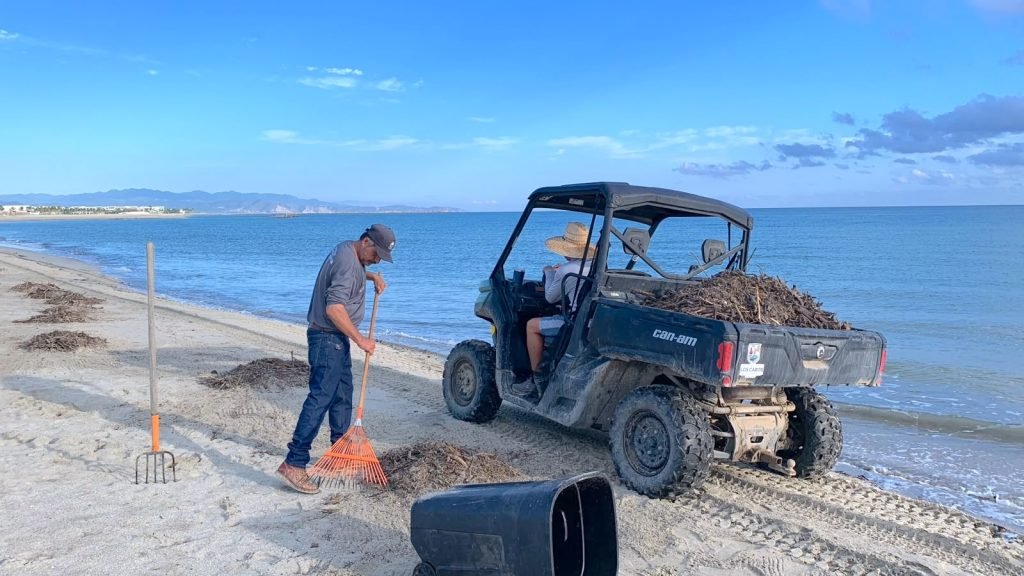 Refuerzan limpieza y recolección de residuos en playas de La Ribera